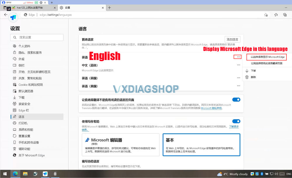  VXDIAG 2TB HDD Web Browser in Chinese Language 3